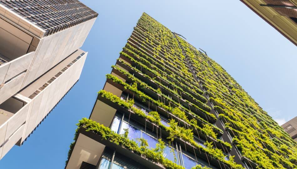 img_Sustainable-Innovations-950x540